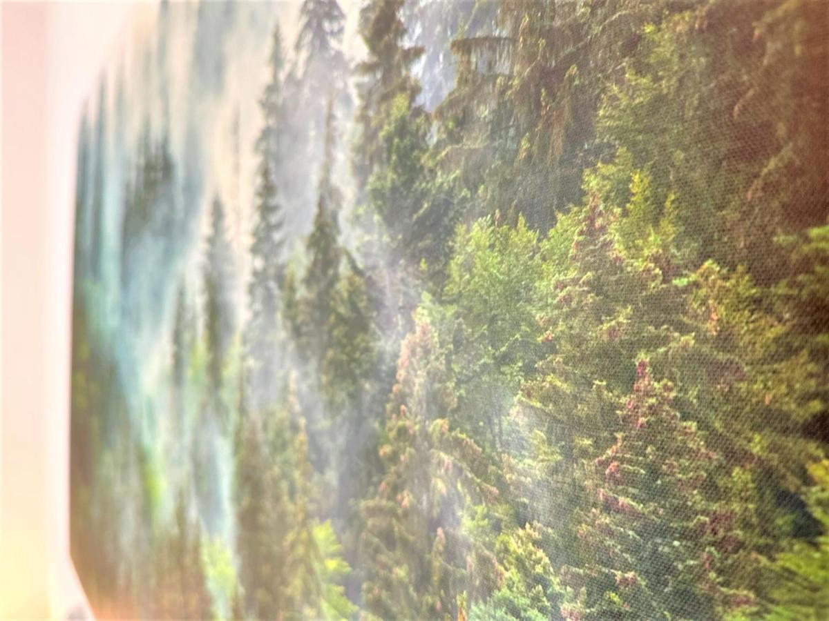 Cozy Apartment In Bavarian Forest +Pool +Sauna +Netflix Zwiesel Luaran gambar