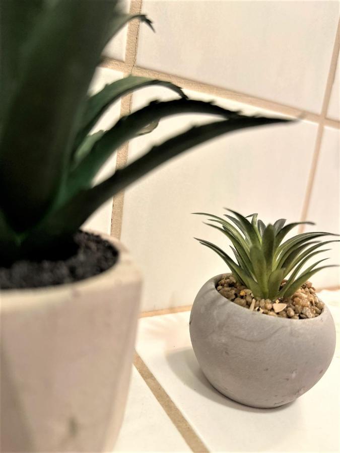 Cozy Apartment In Bavarian Forest +Pool +Sauna +Netflix Zwiesel Luaran gambar