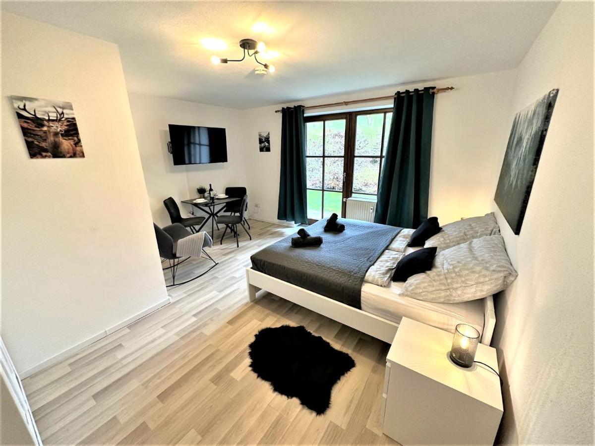 Cozy Apartment In Bavarian Forest +Pool +Sauna +Netflix Zwiesel Luaran gambar
